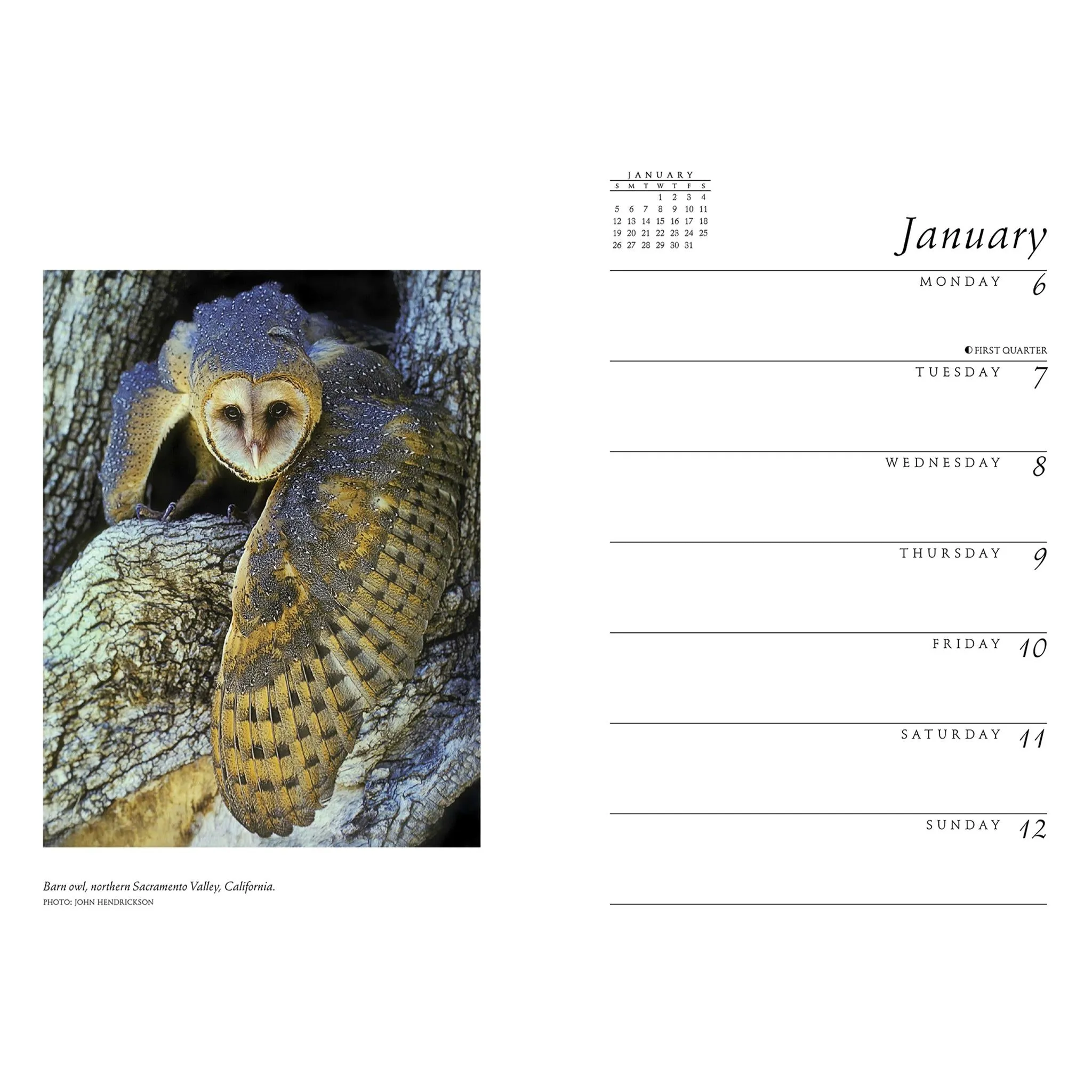 Sierra Club Engagement 2025 Calendar
